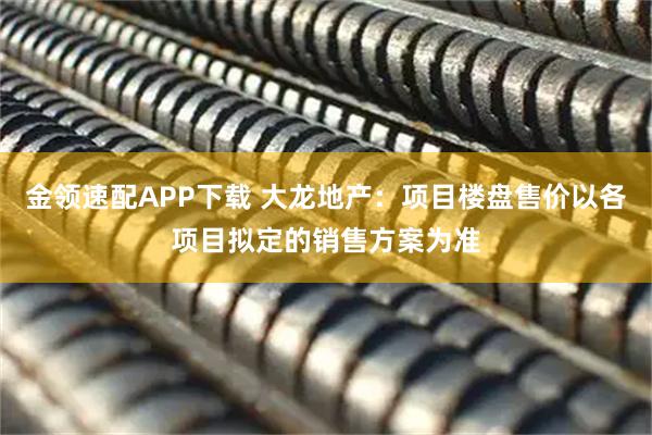 金领速配APP下载 大龙地产：项目楼盘售价以各项目拟定的销售方案为准