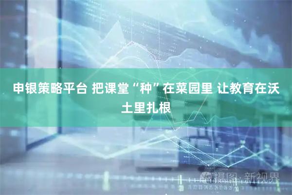申银策略平台 把课堂“种”在菜园里 让教育在沃土里扎根