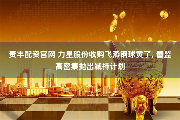责丰配资官网 力星股份收购飞燕钢球黄了, 董监高密集抛出减持计划