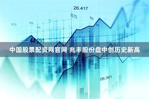 中国股票配资网官网 兆丰股份盘中创历史新高